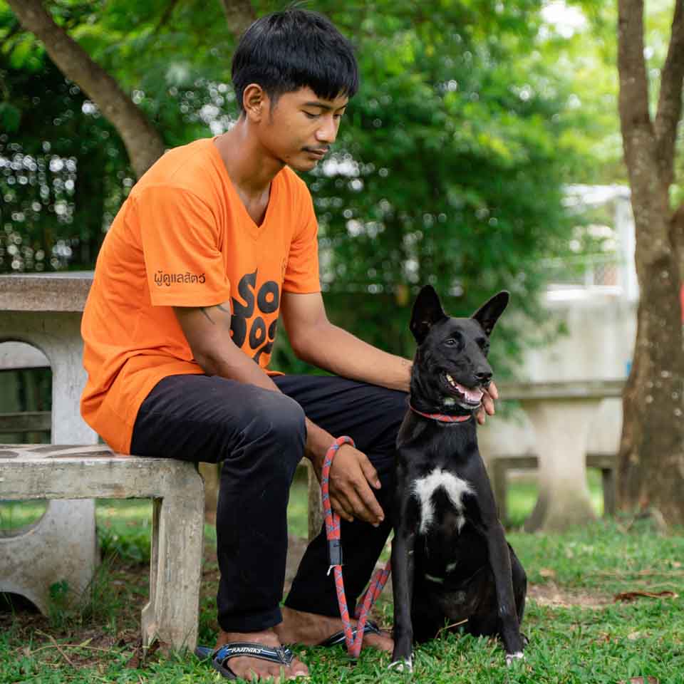 adopt-juju-soi-dog-foundation